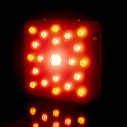Bright red LED panel with many small bulbs glowing, set against a dark background; a digital control panel is visible on the right side.
