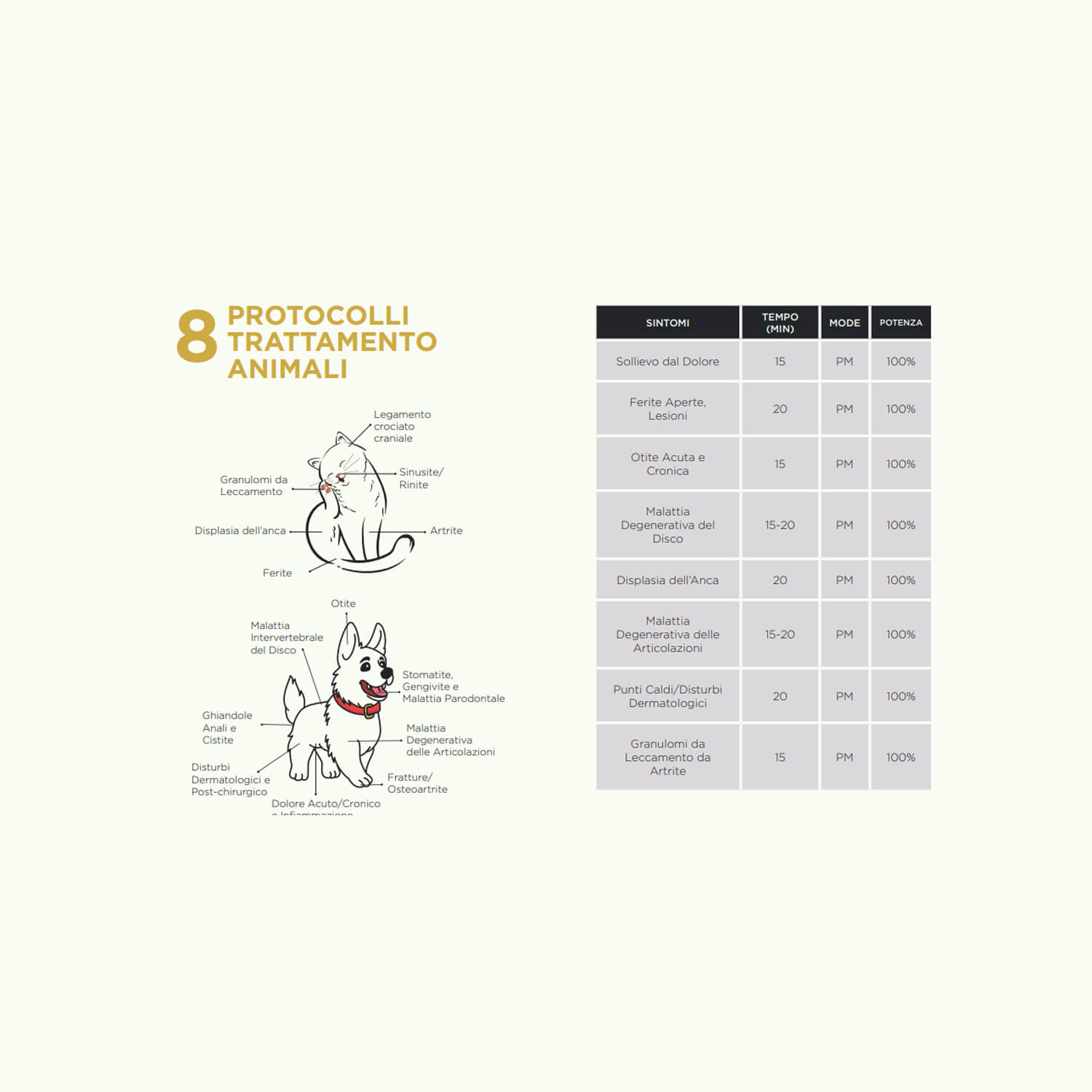 Italian infographic titled '8 protocolli trattamento animali' showing a dog diagram with labeled ailments on the left and a multi-column table of symptoms, times, mode, and potency on the right.